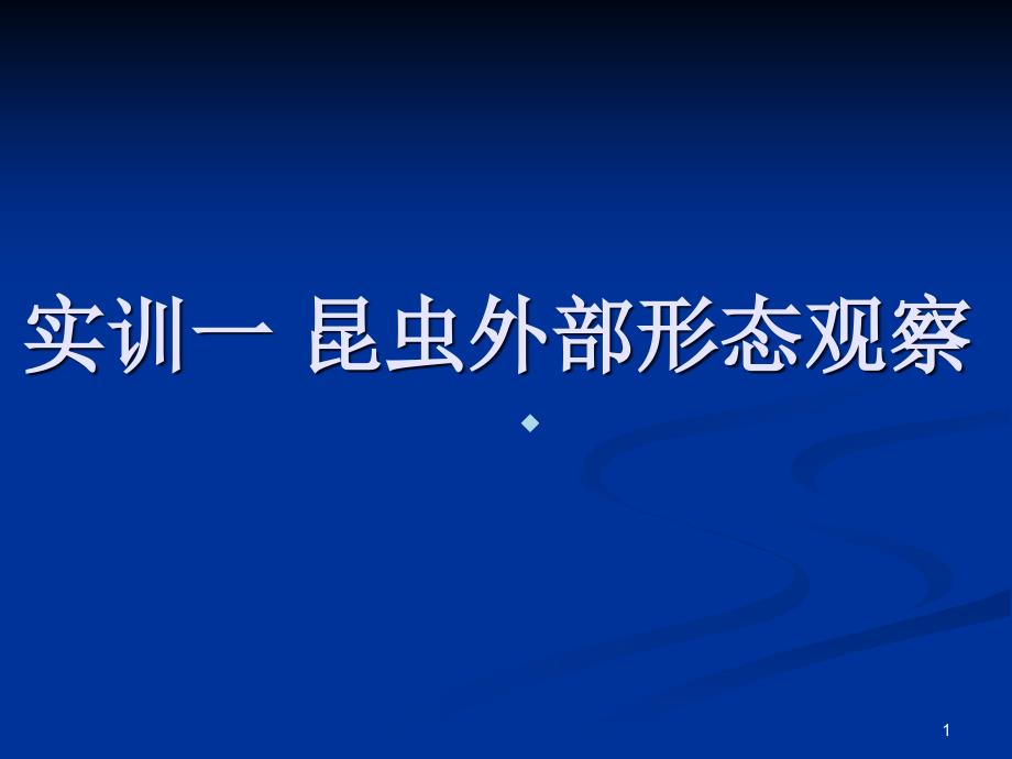 实验一昆虫外部形态观察课件_第1页