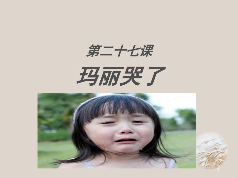 对外汉语教学课件_第1页