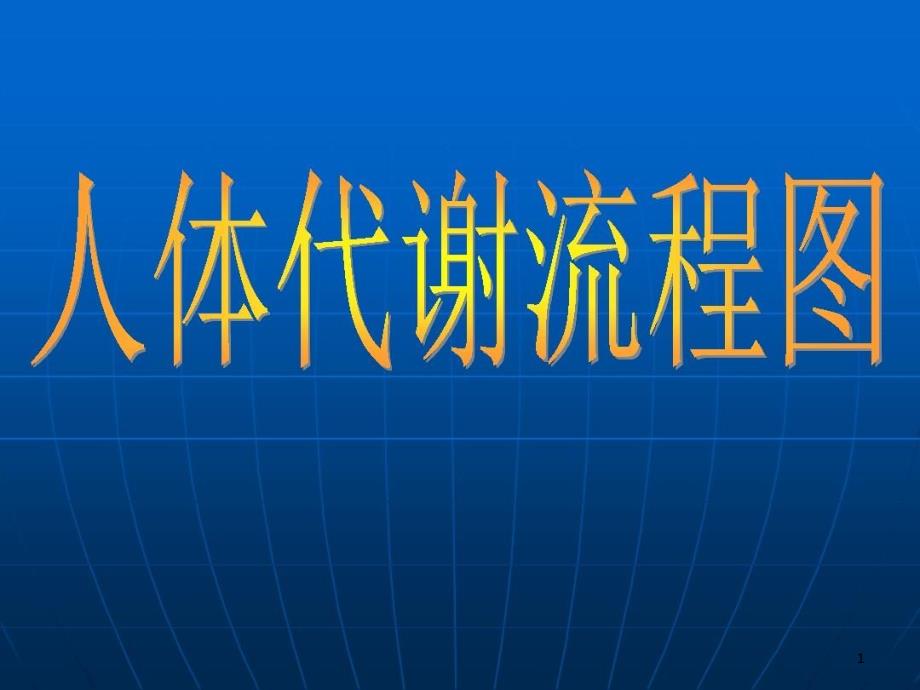 人体代谢流程图课件_第1页