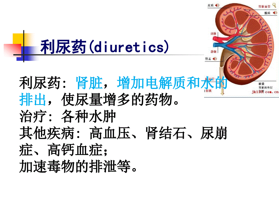 第二十二章-利尿药及脱水药课件_第1页