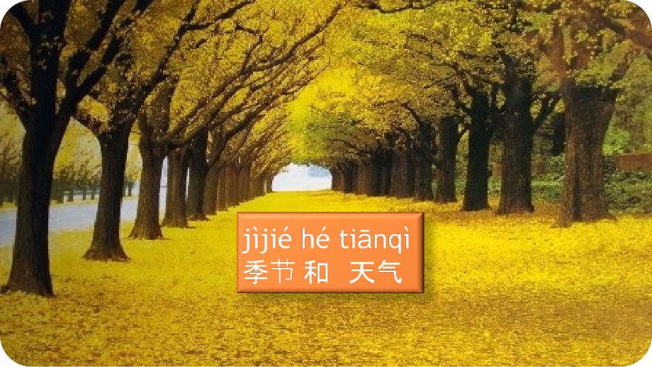 对外汉语——季节和天气课件_第1页