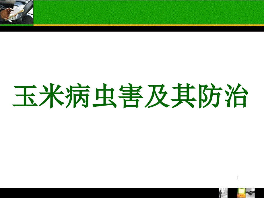 玉米常见病虫害及防治课件_第1页