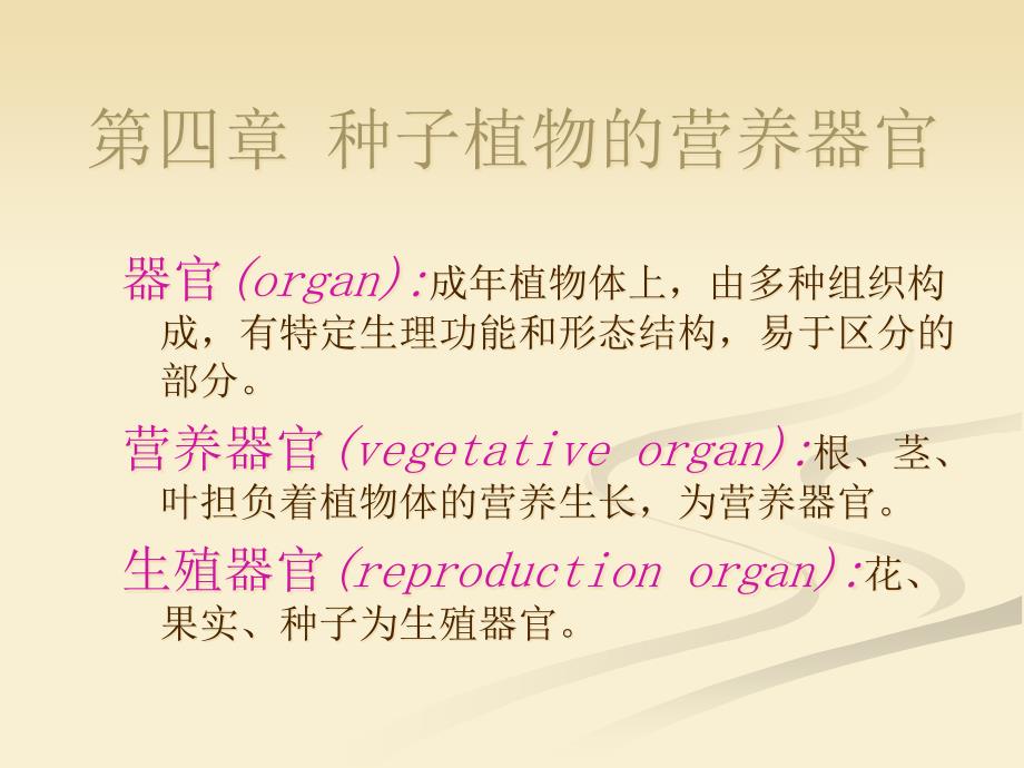 植物的营养器官汇总课件_第1页