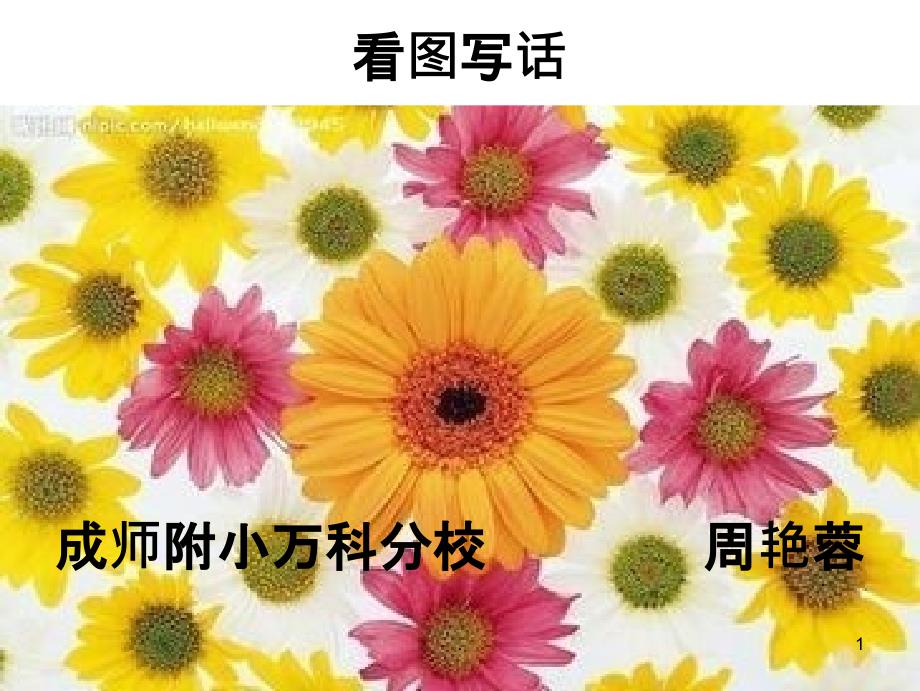 绘本故事-彩虹色的花课件_第1页