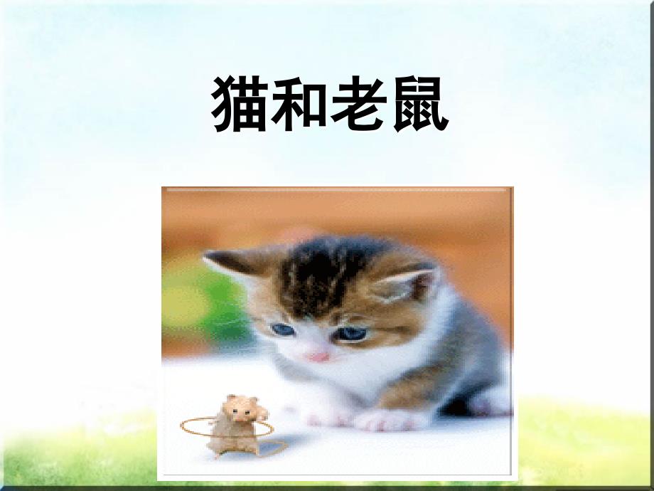 一年级的语文下册《猫与老鼠》课件_第1页