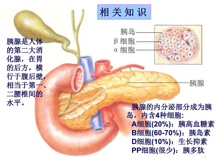 药理学胰岛素及口服降糖药课件_第1页