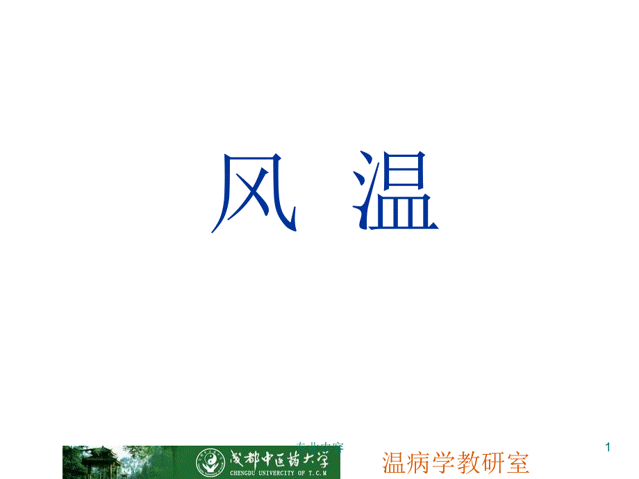 温病学风温课件_第1页