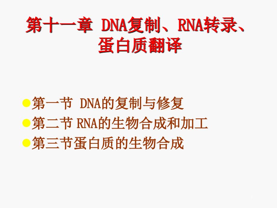 DNA复制、RNA转录、蛋白质翻译课件_第1页