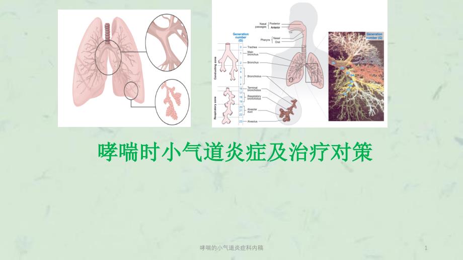 哮喘的小气道炎症科内稿ppt课件_第1页