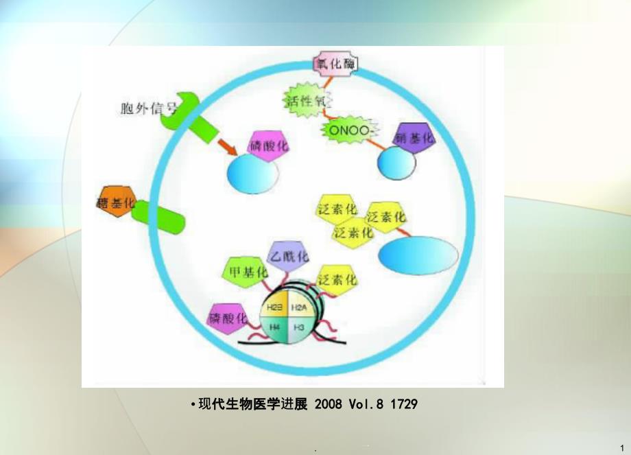 蛋白质翻译后修饰课件_第1页