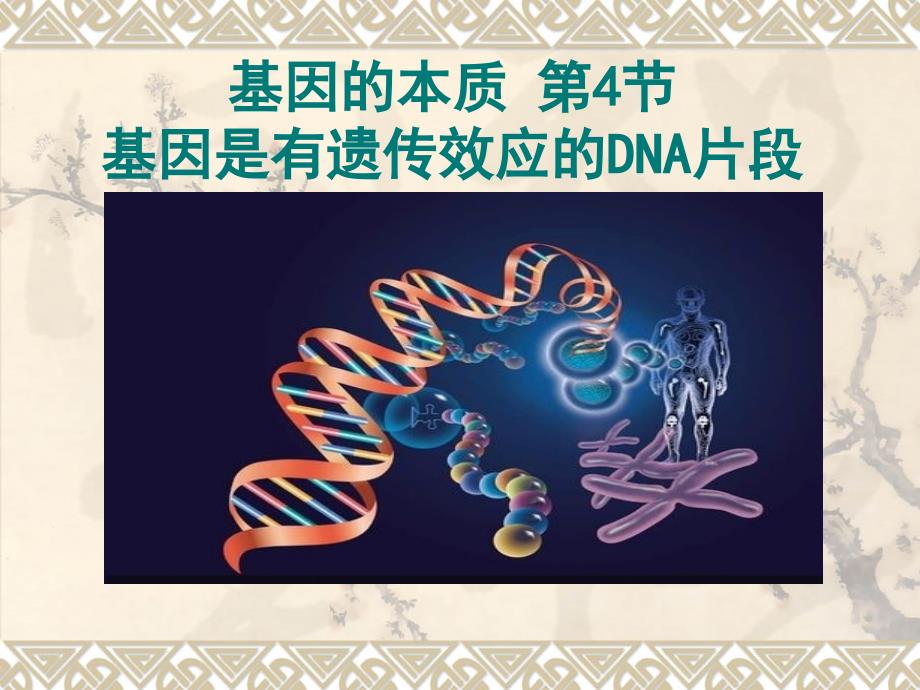 3.4基因是有遗传效应的DNA片段课件高亨波_第1页