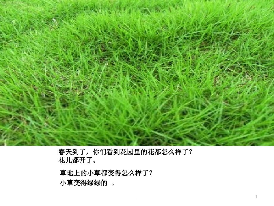 中班科学青青小草课件_第1页