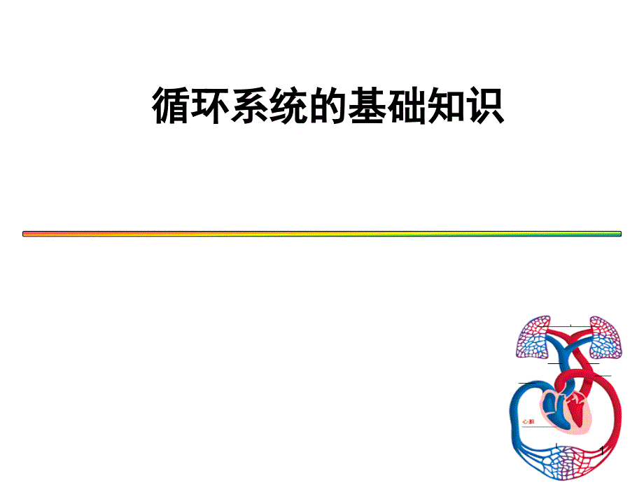 循环系统课件_第1页