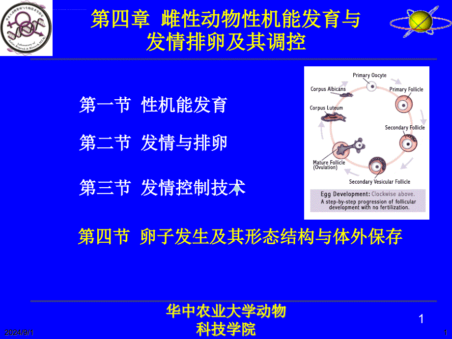 动物繁殖学第10讲卵子发生及其形态结构与体外保存课件_第1页