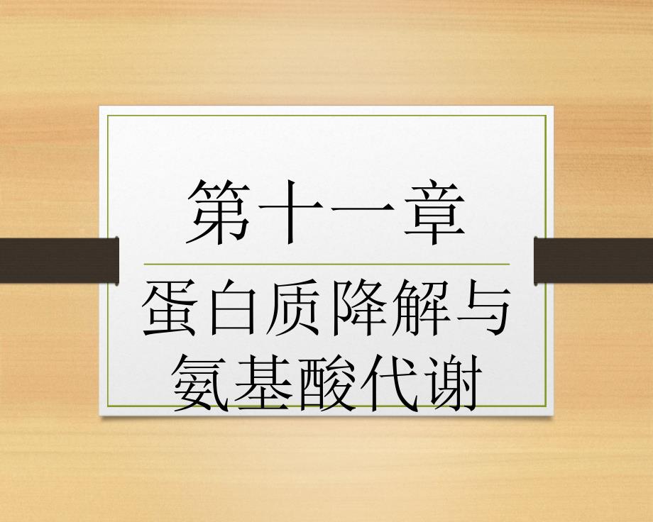 生物化学简明教程十一蛋白质降解与氨基酸代谢课件_第1页