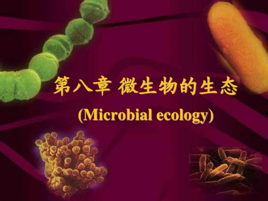 第八章微生物的生态学课件_第1页