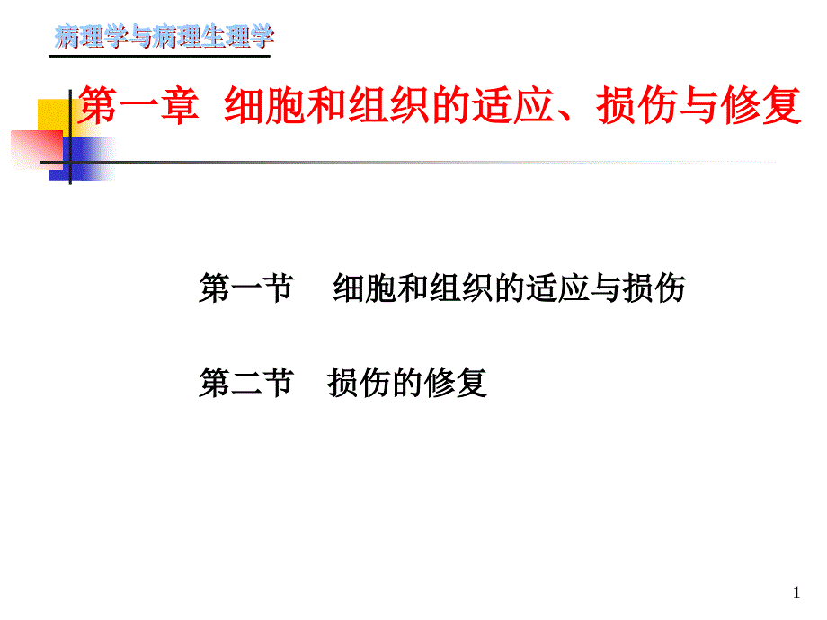 细胞和组织的适应损伤与修复课件_第1页