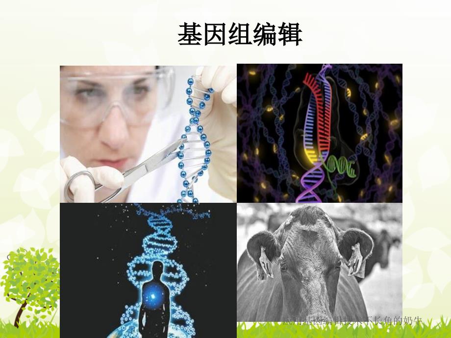 基因组编辑技术课件_第1页