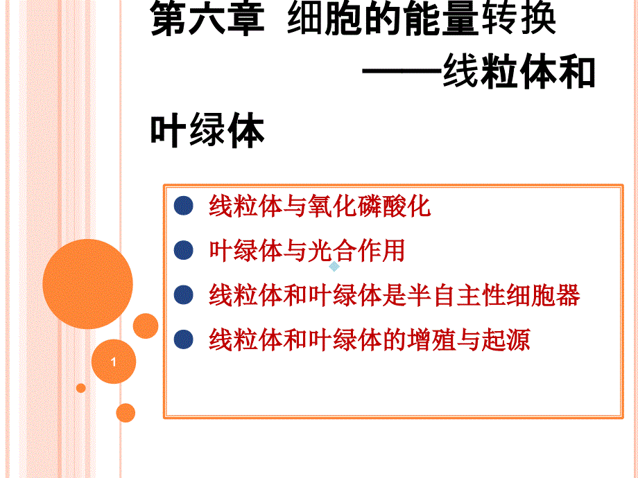 第六章细胞的能量转换──线粒体和叶绿体课件_第1页