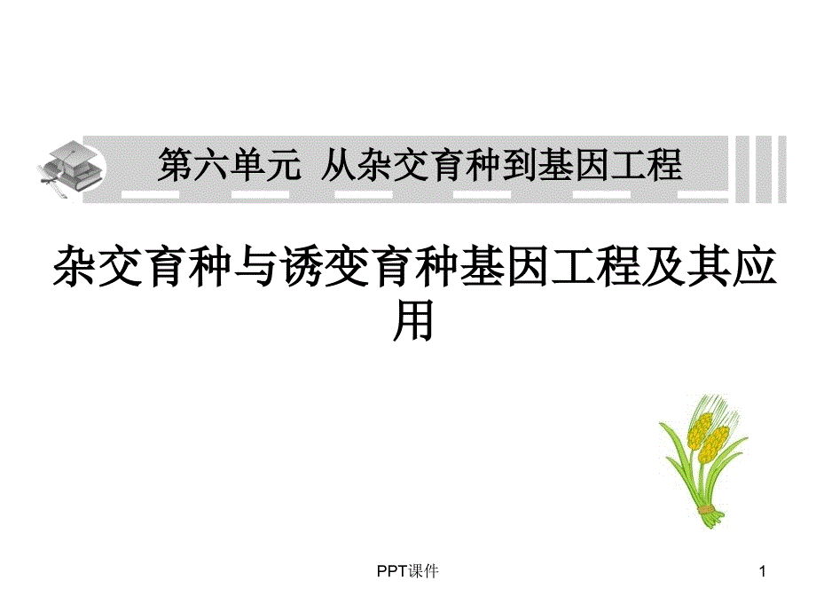 高三一轮复习：从杂交育种到基因工程课件_第1页