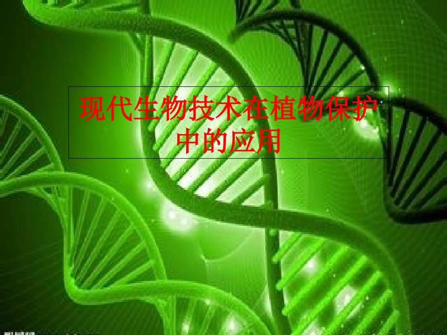 现代生物技术在植物保护中的应用课件_第1页