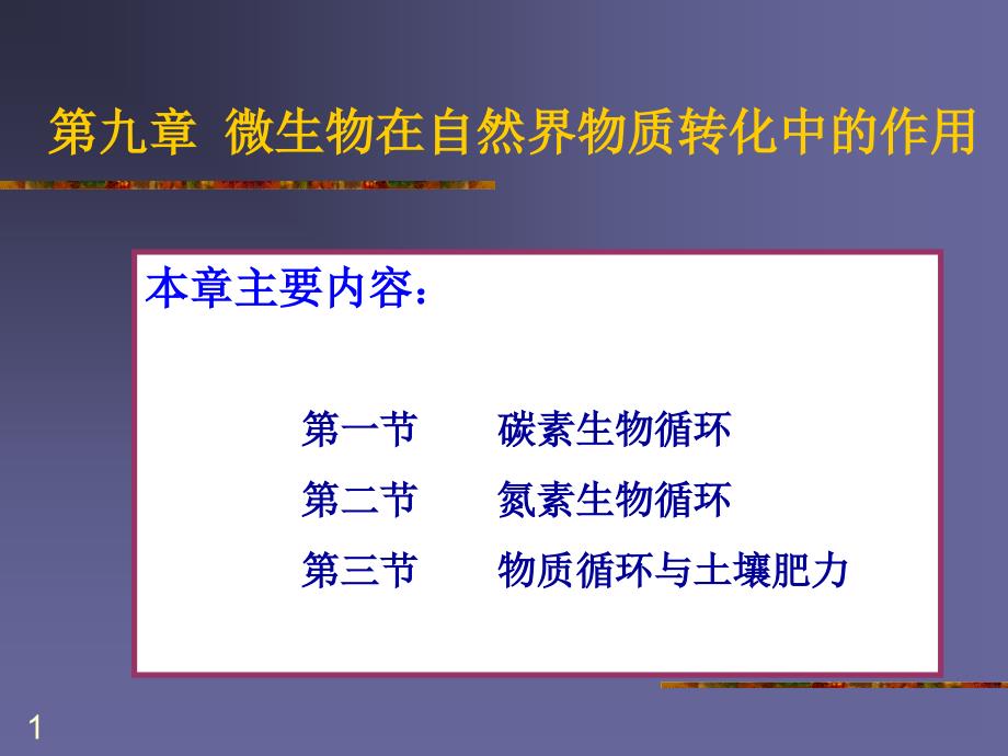 分子生物学ppt课件-微生物在自然界物质循环中的作用_第1页