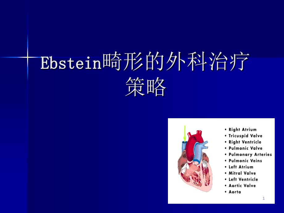 Ebstein畸形的外科治疗_第1页