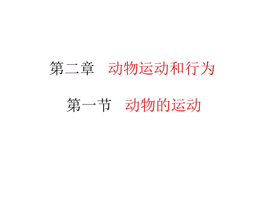 动物运动正式课件_第1页