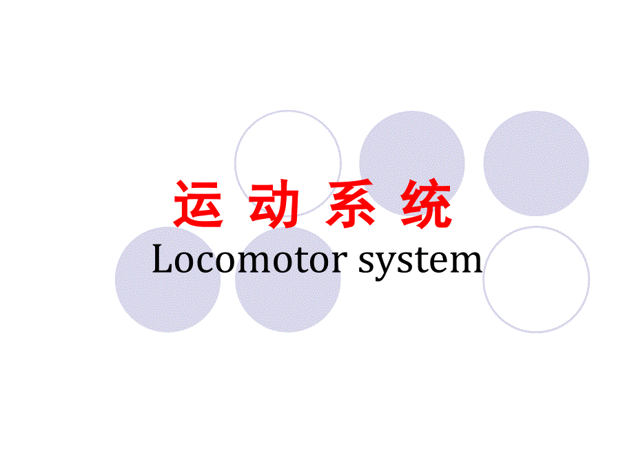 运动系统总论osteologyThebonesoftrunk_第1页