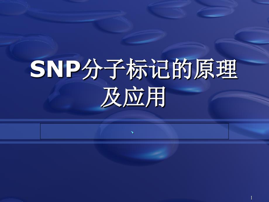 SNP分子标记的原理及应用解读课件_第1页