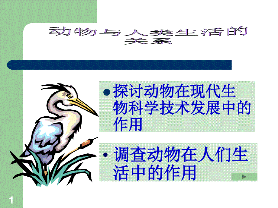 八年级生物动物与人类生活的关系课件_第1页