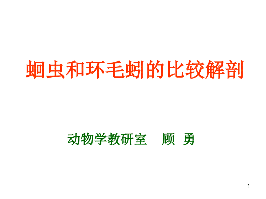 蛔虫和环毛蚯的比较解剖讲解课件_第1页