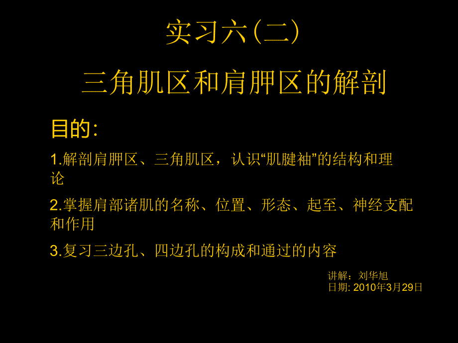 三角肌区和肩胛区的解剖课件_第1页