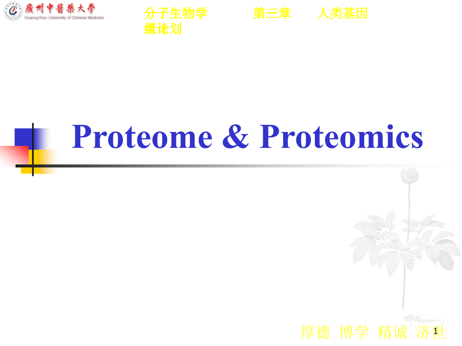 蛋白质组学课件_第1页