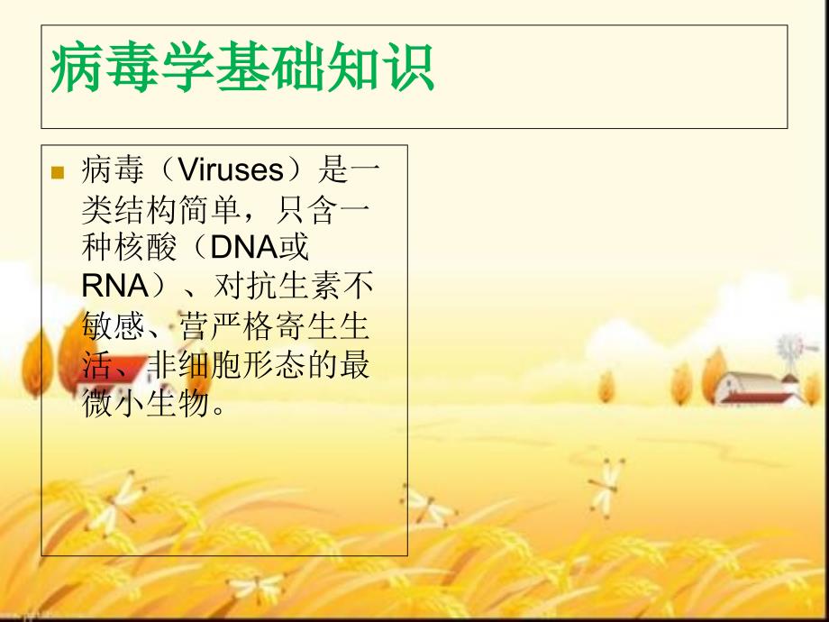 病毒学基础知识课件_第1页