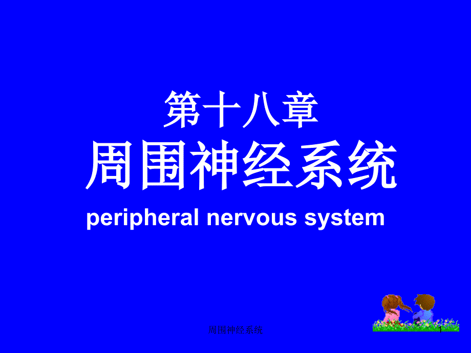 周围神经系统ppt课件_第1页