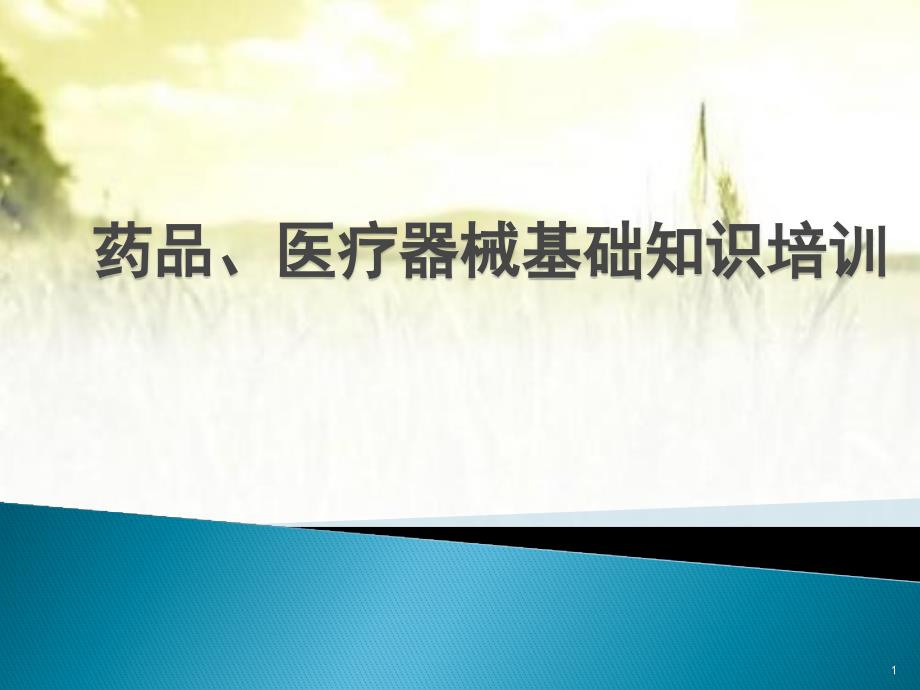 药品医疗器械基础知识培训课件_第1页