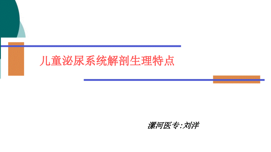 儿童泌尿系统解剖生理特点汇总课件_第1页