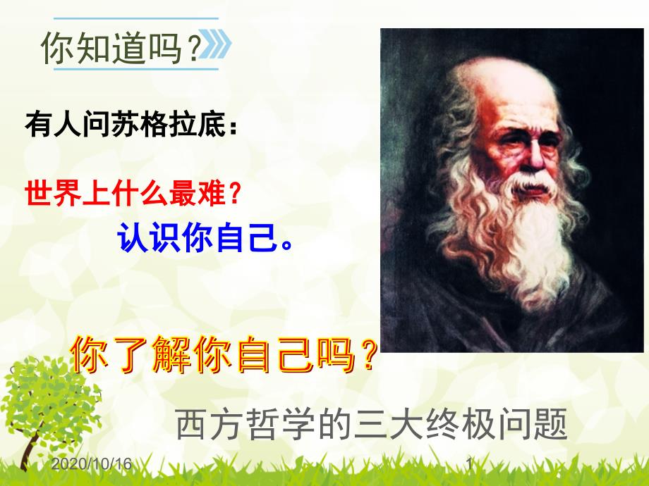 认识自己教学ppt课件_第1页