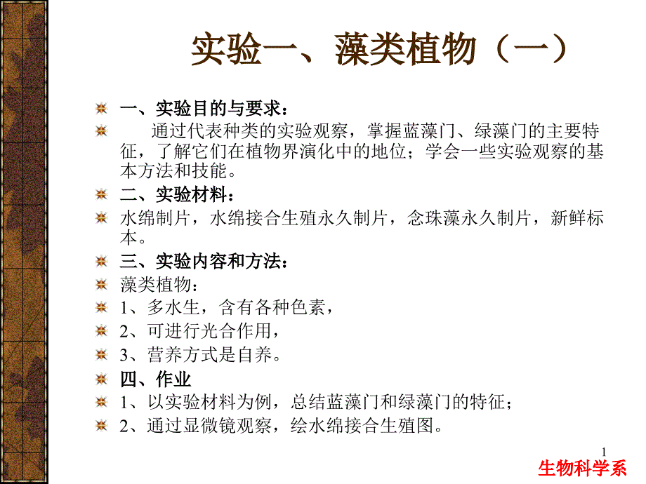 生物科学系课件_第1页