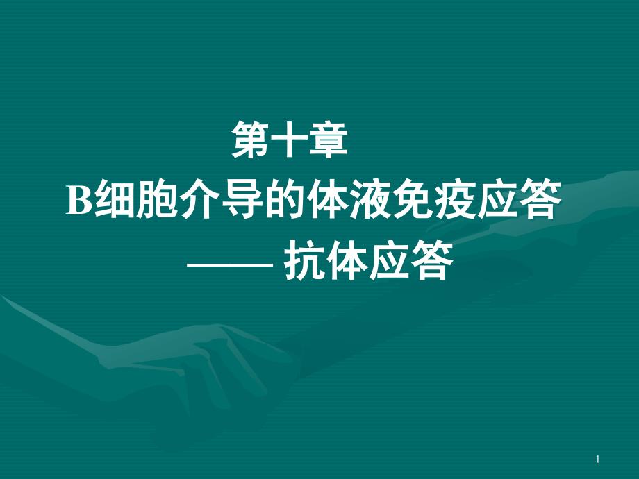 B细胞介导的体液免疫应答课件_第1页