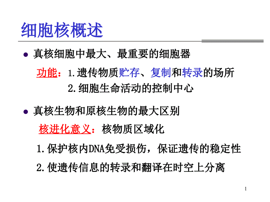 医学细胞生物学细胞核课件_第1页