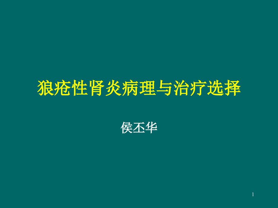 狼疮性肾炎病理与治疗选择课件_第1页