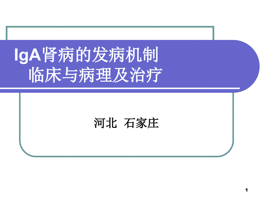 IgA肾病的发病机制临床与病理及治疗课件_第1页