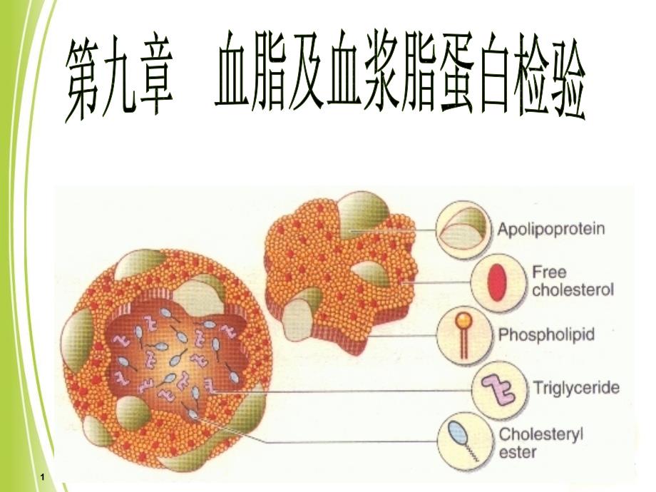 血脂及血浆脂蛋白检验课件_第1页