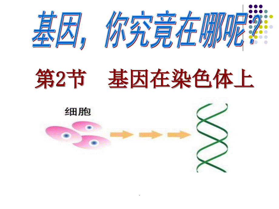 zh基因在染色体上课件_第1页