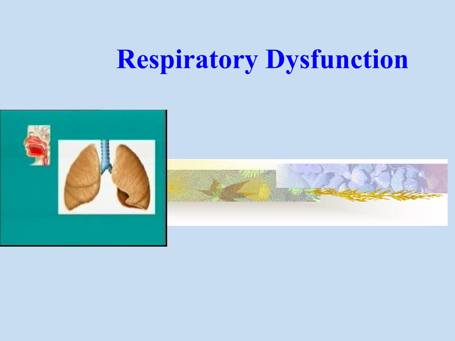 儿童呼吸系统疾病英文版课件_第1页