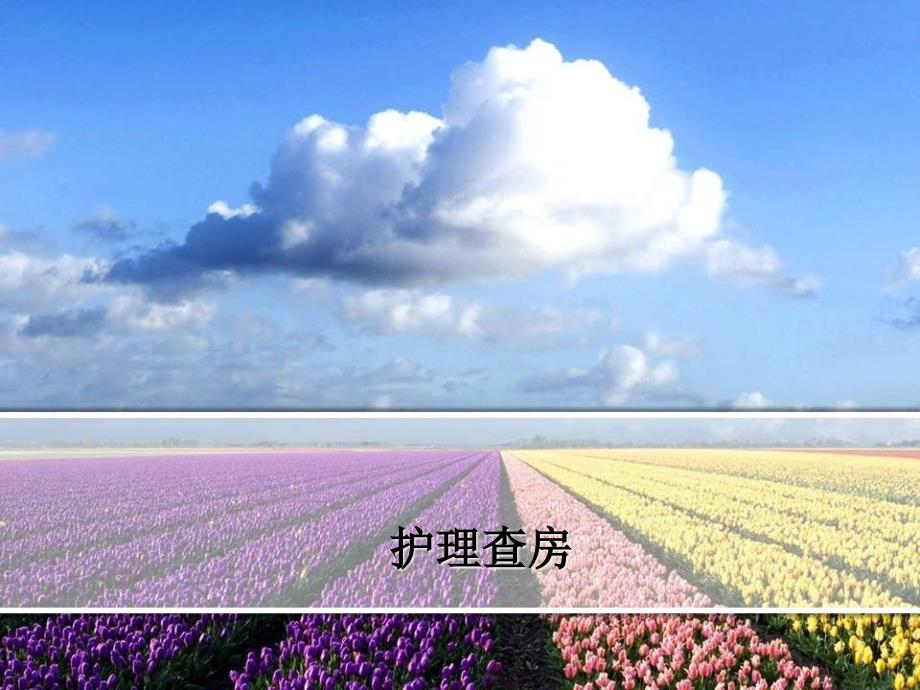 呼吸衰竭伴失禁性皮炎护理查房课件_第1页