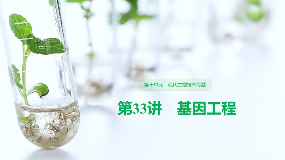 2020版高考生物新导学大一轮复习第33讲基因工程ppt课件_第1页