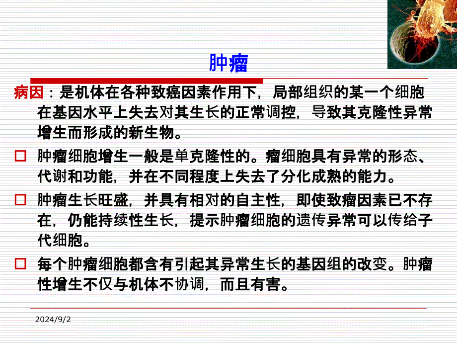 肿瘤的食疗注意事项课件_第1页